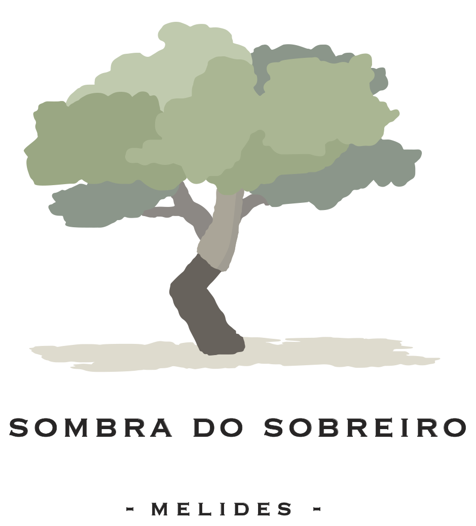 Onde as plantas são mais verdes